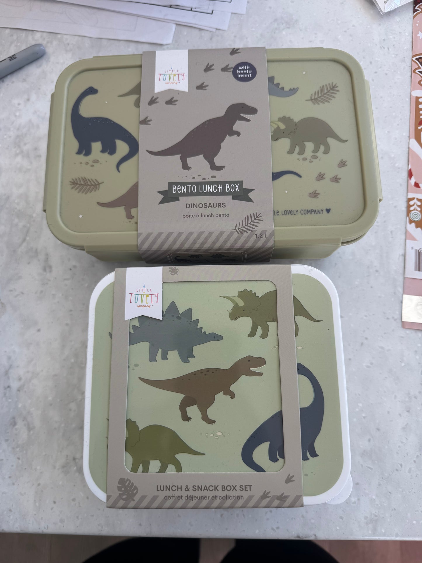 Dino lunch boxes