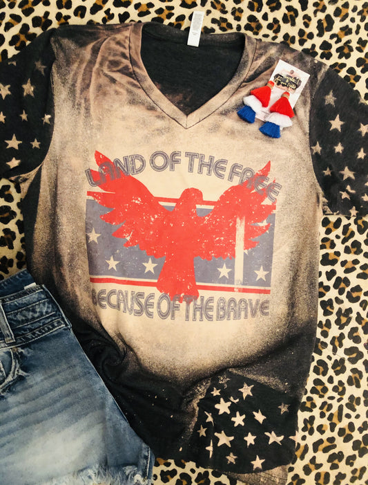 Land of the Free Because of the Brave Eagle star Tee